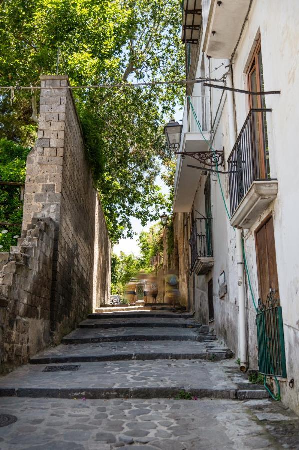 Aquae Romanae - Guest House Sorrento Dış mekan fotoğraf